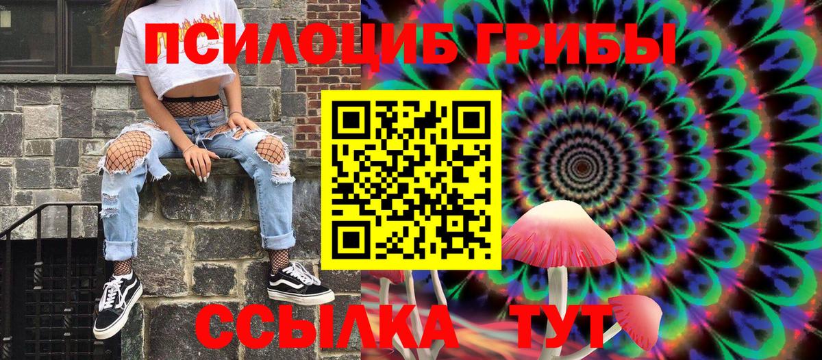 Павловский Посад  Псилоцибиновые грибы Cubensis  Вход с VPN  Галлюциногенные грибы ЛСД 