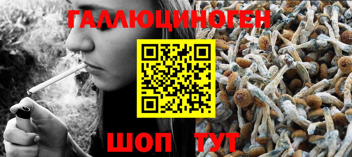 Галлюциногенные грибы прущие грибы Павловский Посад